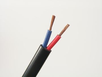 Noyau flexible de cuivre échoué du câble deux et câble de terre 300V/550V